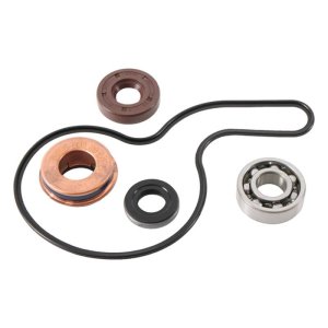 Polaris Sportsman Water Pump Kit - Hot Rods - `02-`09